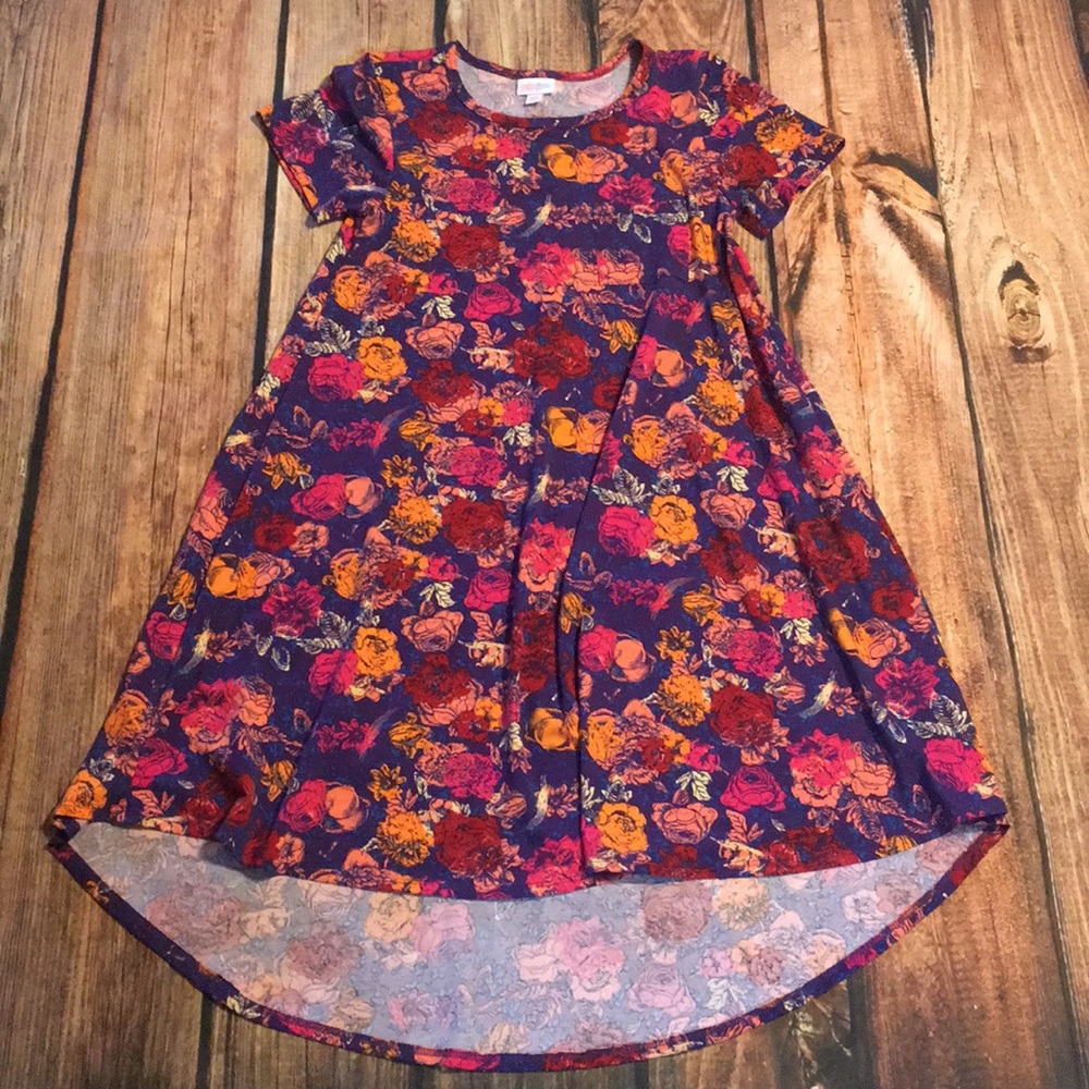 LuLaRoe Floral XXS Carly Dress
